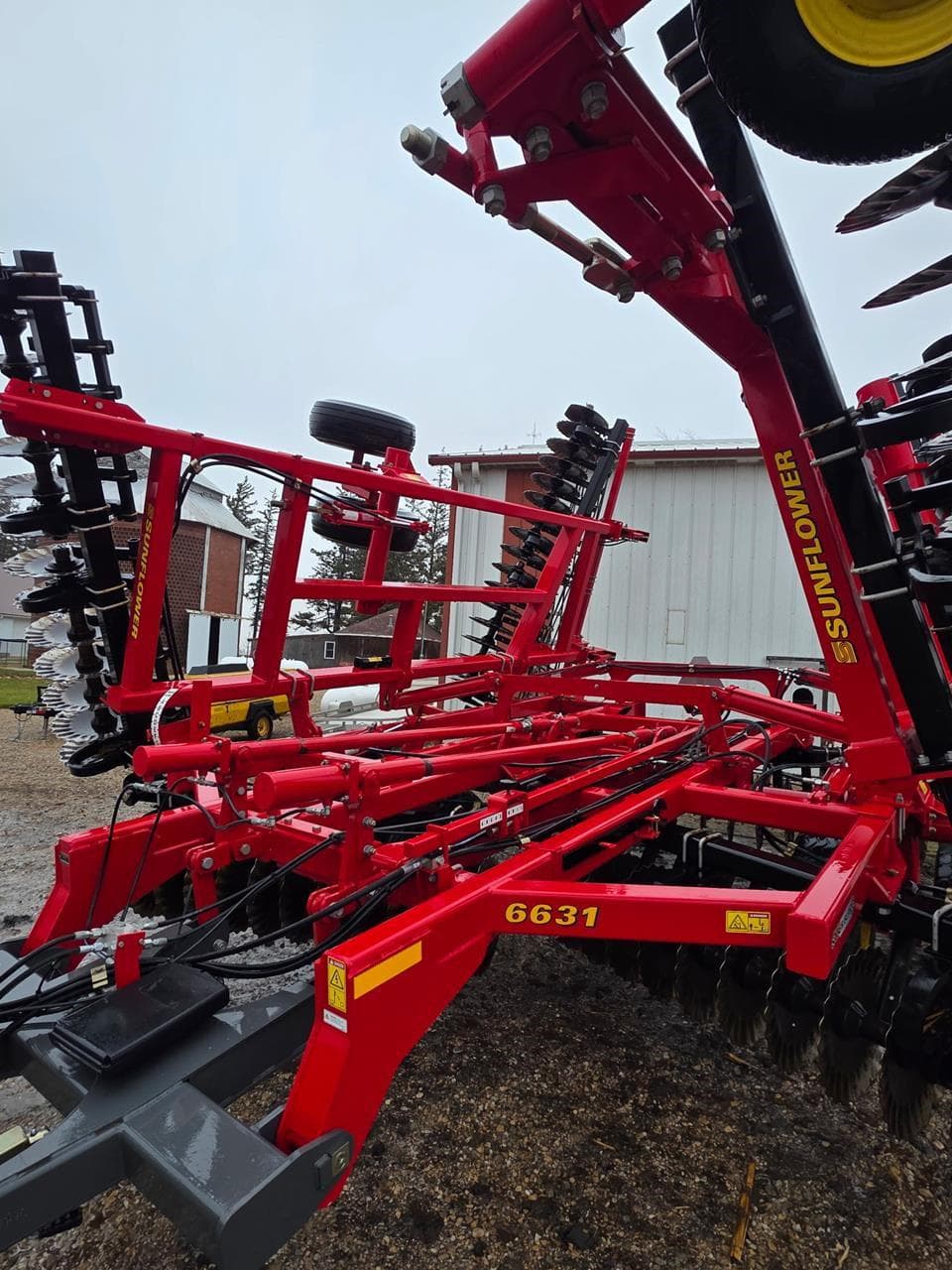 Image of Sunflower 6631-31 Image 1