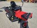 2020 Troy Bilt Mustang Image