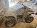 2020 Yamaha Kodiak 450 Image