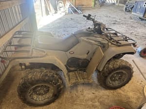 2020 Yamaha Kodiak 450 Image