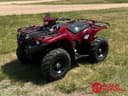 2020 Yamaha Kodiak 450 Image