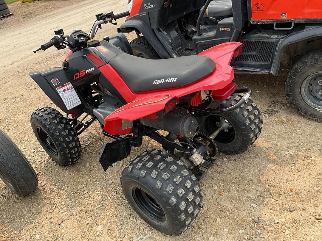 Image of Can-Am DS250 Primary image