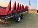 2021 Case IH 4412 Image