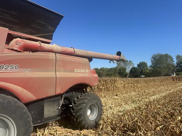 Image of Case IH 8250 equipment image 1