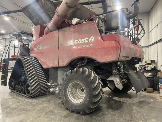Image of Case IH 8250 equipment image 3