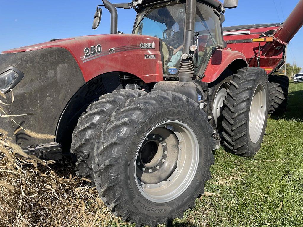 Image of Case IH Magnum 250 Primary image