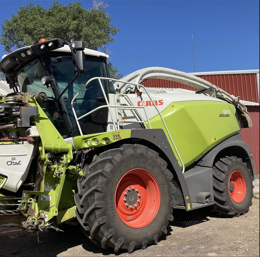 Image of CLAAS Jaguar 970 Primary image