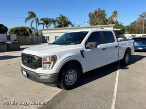 2021 Ford F-150 Image