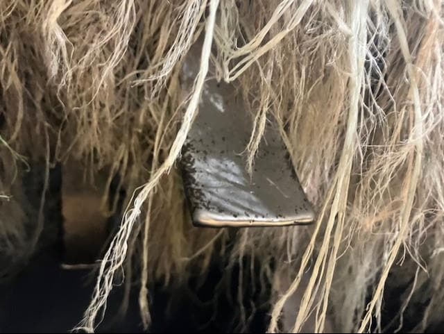 Image of Haybuster 2660 equipment image 3