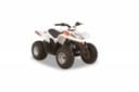 2022 Argo Xplorer XC 90 Image