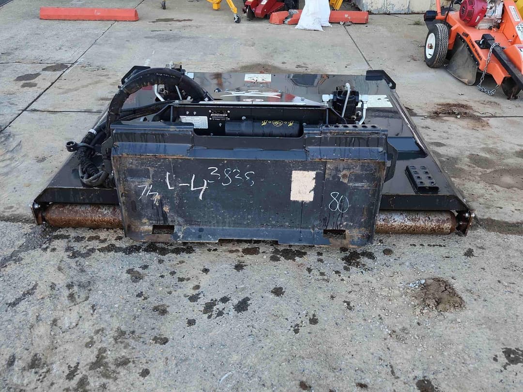 Image of Bobcat Undetermined Image 1
