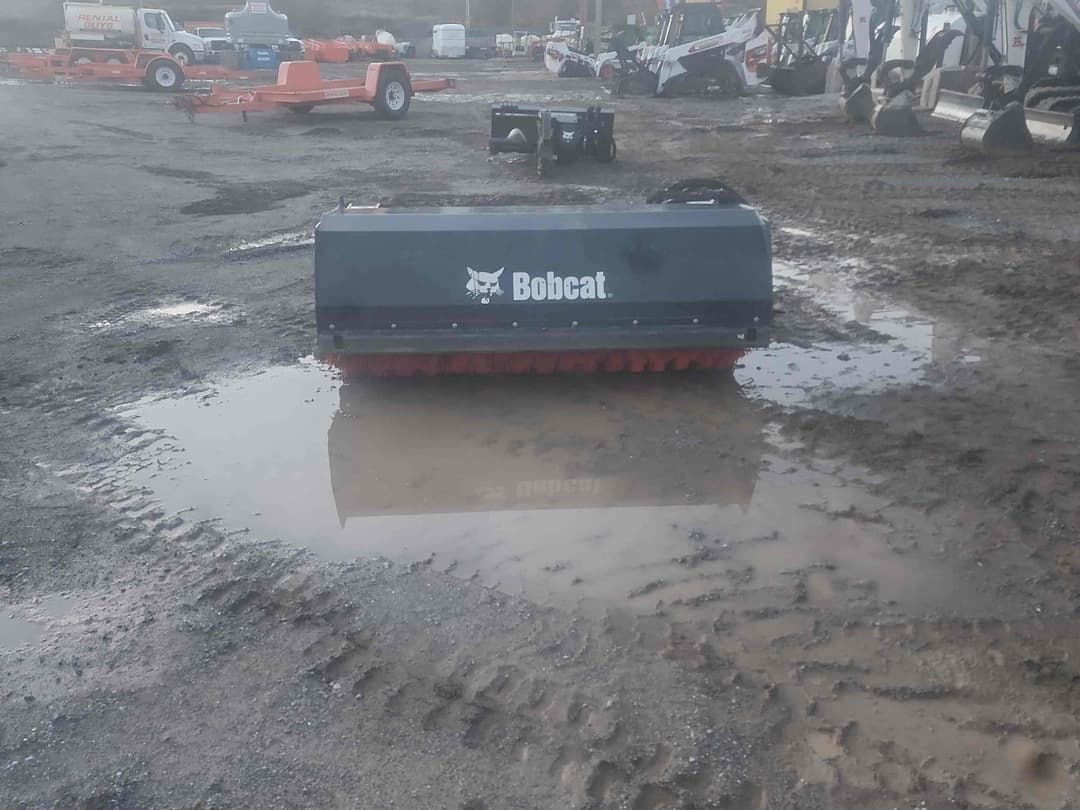 Image of Bobcat Undetermined Image 1