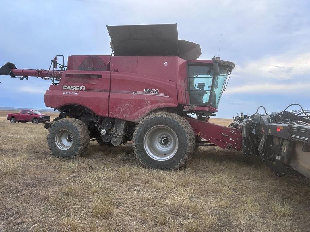 Image of Case IH 8250 Primary image