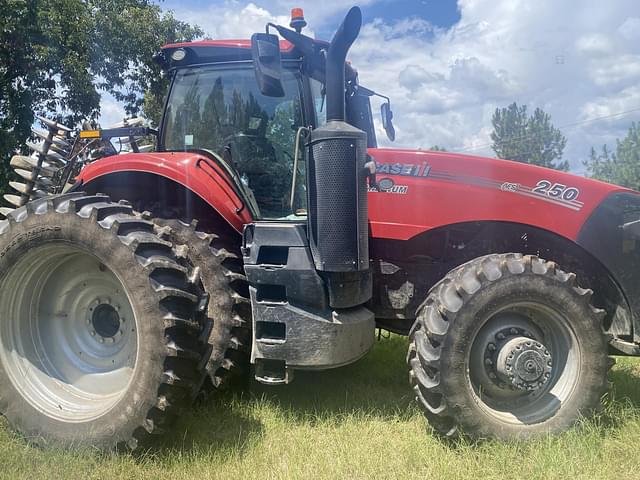 Image of Case IH Magnum 250 equipment image 3