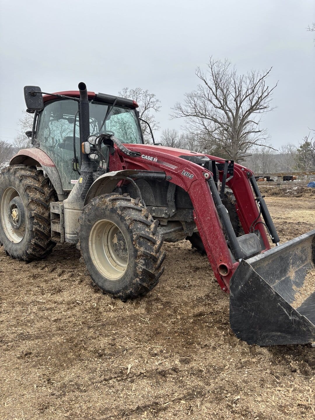 2022 Case IH Maxxum 125 Equipment Image0