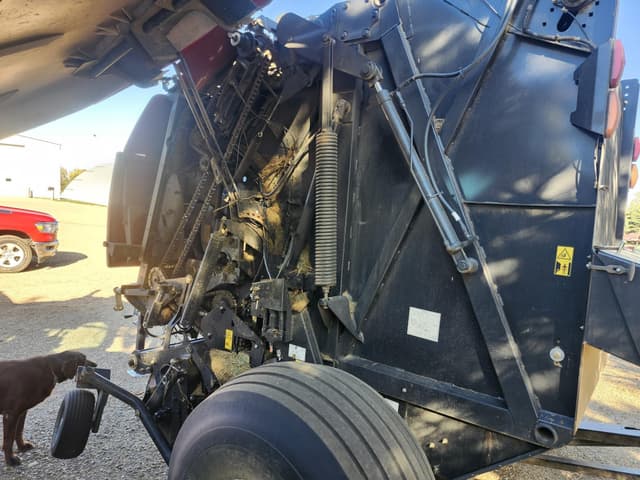 Image of Case IH RB565 equipment image 3