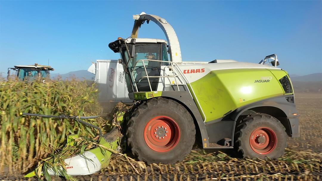 Image of CLAAS Jaguar 960 Image 0