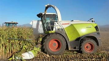 Main image CLAAS Jaguar 960 0