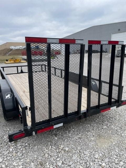 Image of Coyote Undetermined Image 1