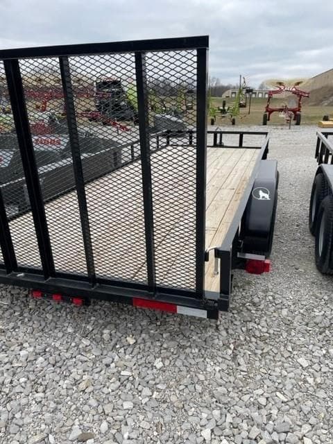 Image of Coyote Undetermined Image 1