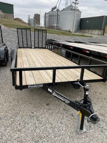 Main image Coyote Undetermined