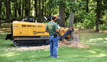 Main image Rayco RG74T-R