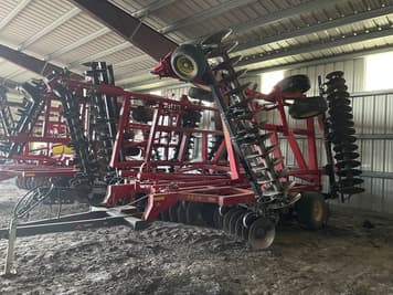 Main image Sunflower 1436