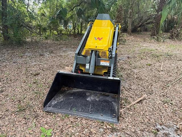Image of Wacker Neuson SM100 equipment image 1