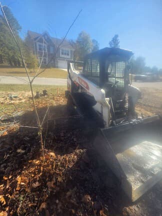 Image of Bobcat T66 Image 1