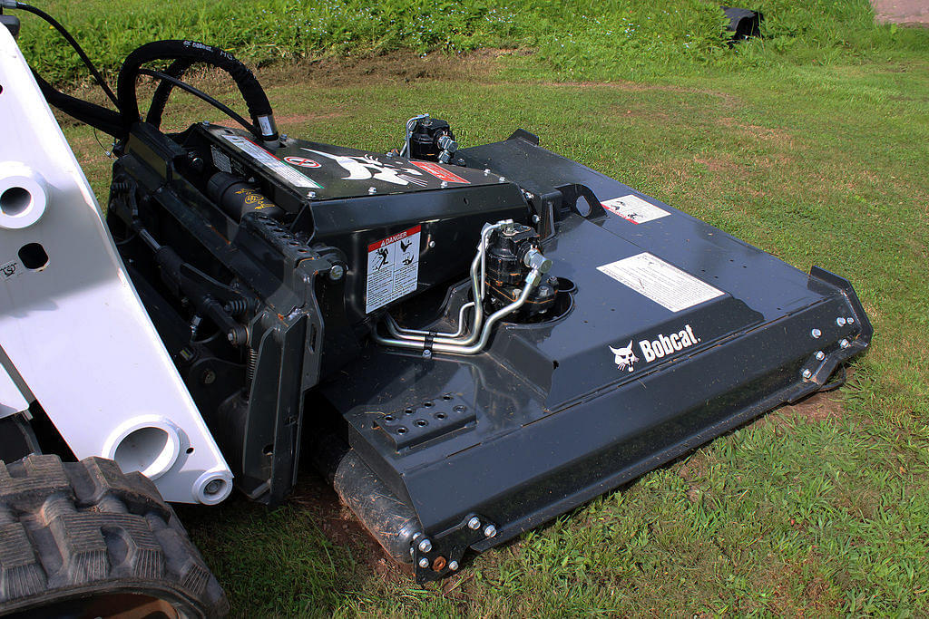 Image of Bobcat Undetermined Primary image