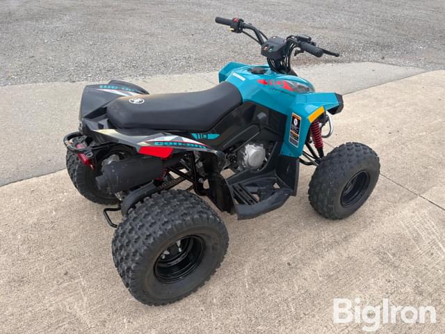 Image of Can-Am Renegade 110 equipment image 4