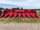 2023 Case IH 4408 Image