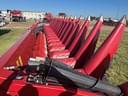 2023 Case IH 4418 Image