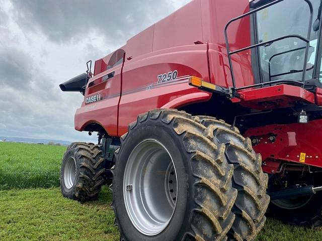 Image of Case IH 7250 equipment image 2