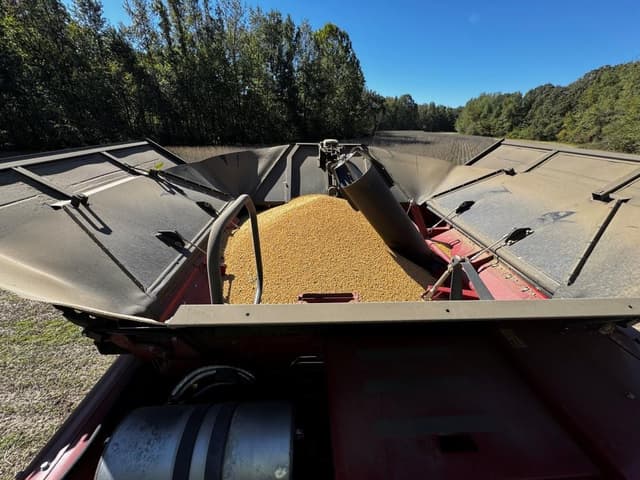 Image of Case IH 8250 equipment image 4