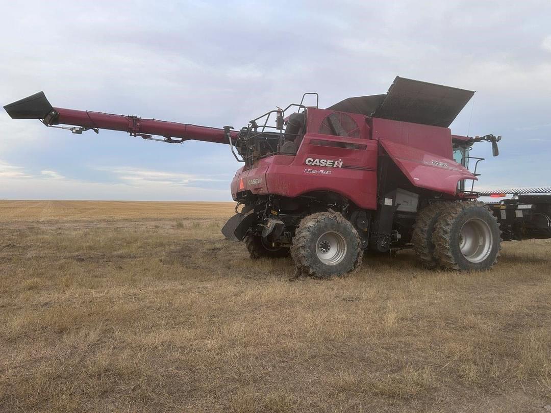 Image of Case IH 8250 Primary image