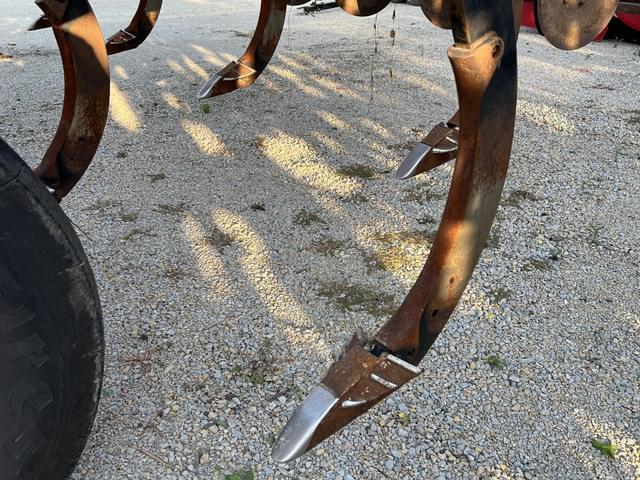 Image of Case IH Ecolo-Tiger 875 equipment image 4