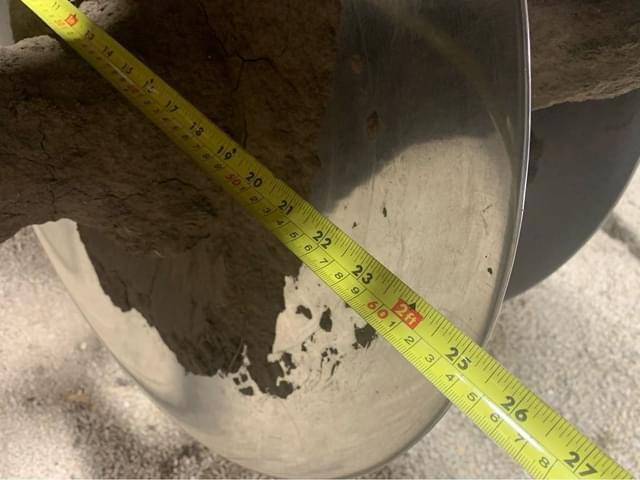 Image of Case IH Ecolo-Tiger 875 equipment image 4