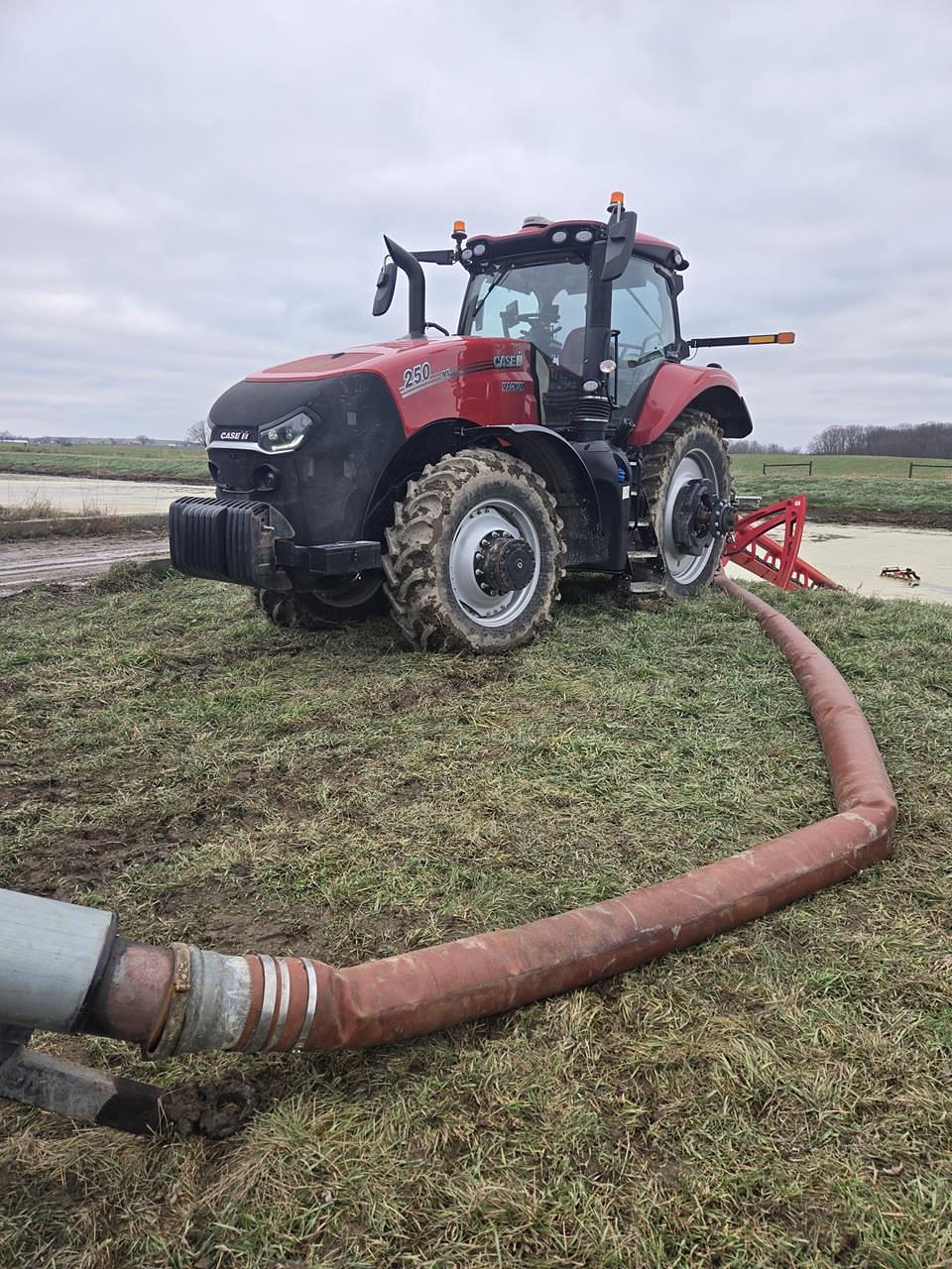 Image of Case IH Magnum 250 Primary image