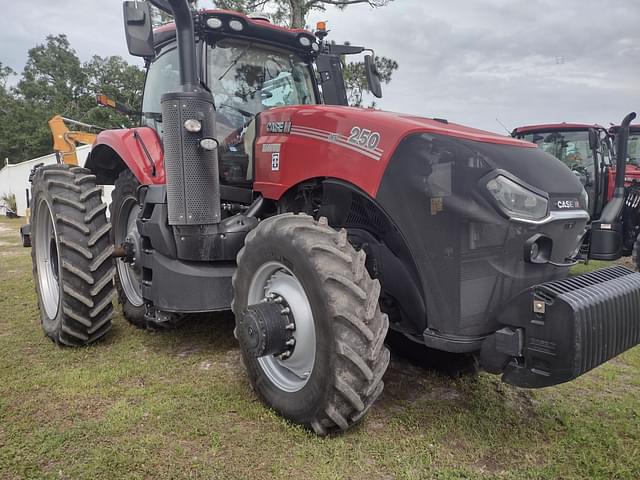 Image of Case IH Magnum 250 equipment image 1