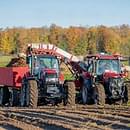 Thumbnail image Case IH VESTRUM 130 7