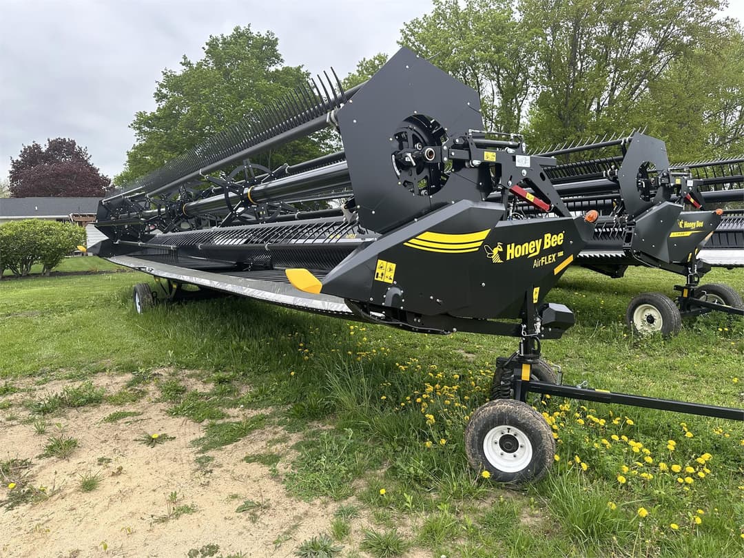 Image of Honey Bee AFS40 Image 0