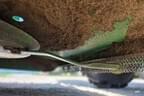 Image of John Deere RC7M equipment image 3