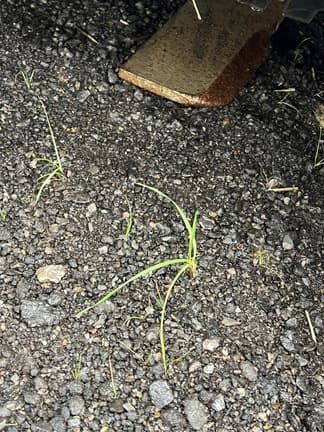 Image of John Deere RX84 equipment image 4