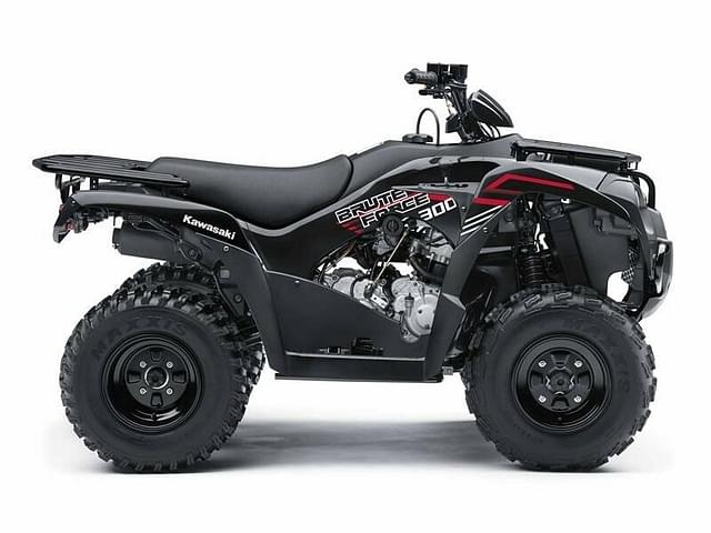 Image of Kawasaki Brute Force 300 equipment image 2