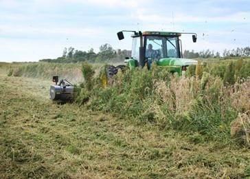 Image of Loftness Standard 12/22 equipment image 2