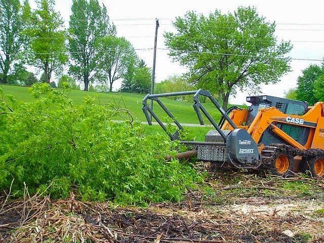 Image of Loftness Timber Ax equipment image 1