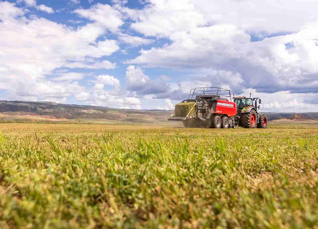 Image of Massey Ferguson LB2234 Primary image