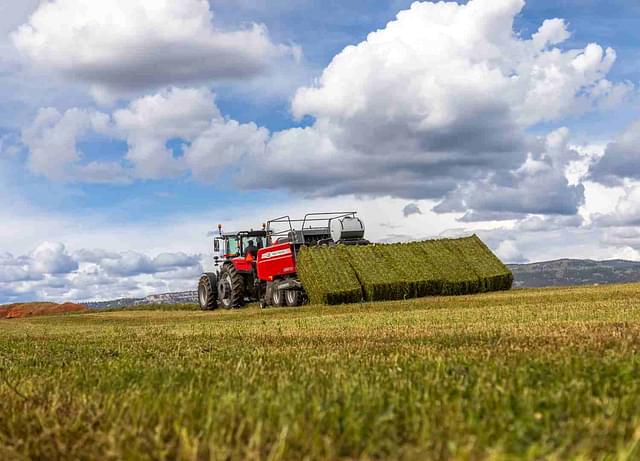 Image of Massey Ferguson LB2234XD equipment image 3