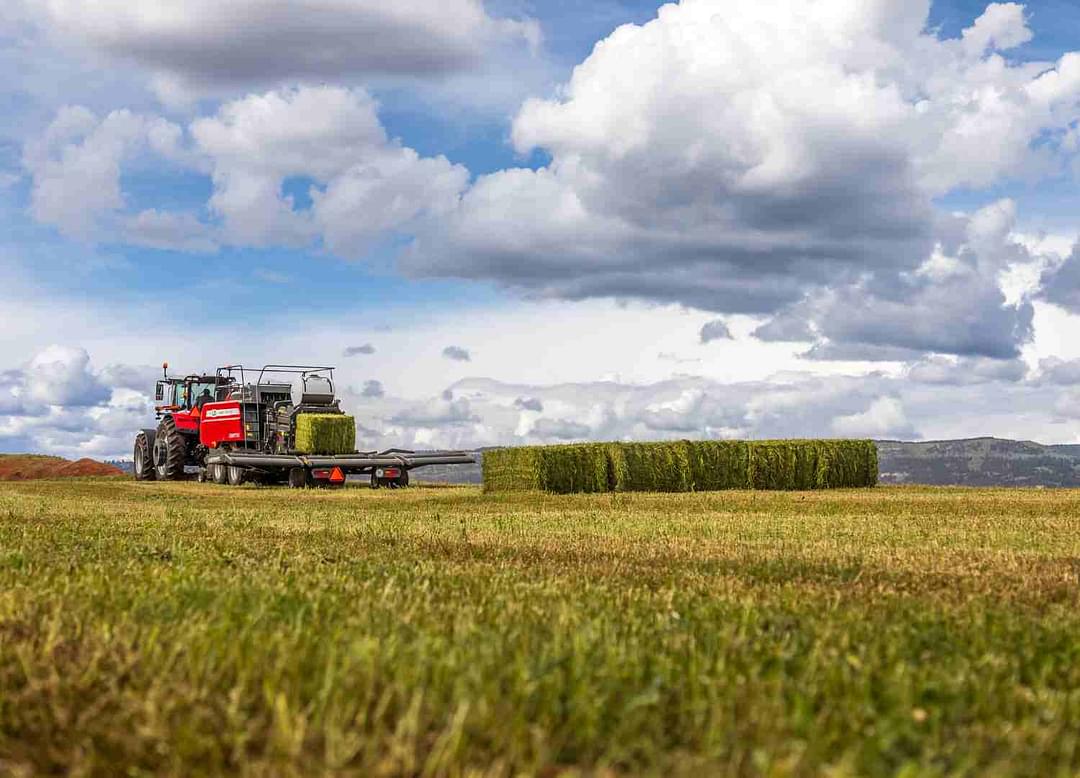 Image of Massey Ferguson LB2234XD Primary image